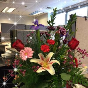 Meet your Posher, Melanie